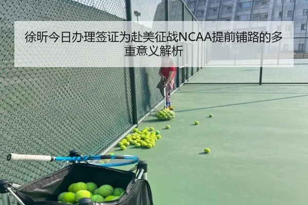 徐昕今日办理签证为赴美征战NCAA提前铺路的多重意义解析